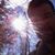 Billy Pettit's profile image