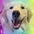 Amy Seney's profile image