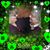 Patty Curry Burr's profile image