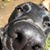 Cassidy Osborne's profile image