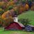 Steve Schrock's profile image