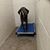 Tammie Lossing's profile image