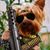 Raymond King's profile image