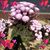 Linda DeCasper's profile image