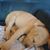 JJ Paur's profile image