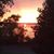 Michelle Foote's profile image