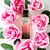 Romo Doraeliza's profile image