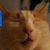 Kristina Hamilton's profile image