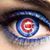LeAnn Hofelt Schmidt's profile image