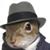 Sherry Adams's profile image