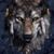 Frank W Fortner's profile image