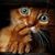 Glen Rinzler's profile image