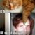 Timmy Edwards's profile image