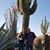 Peter S. Riehle's profile image