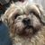 Judi Catania's profile image