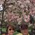Patty Incardona Welborn's profile image
