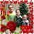 Brandy Nicole Hagewood's profile image