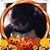 Monica Wyatt Wall's profile image