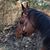 Zena Byrne's profile image