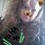 Angie Ryan Williams's profile image