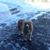 Jeanette M. Parker's profile image