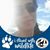 Mayra Lenzi's profile image