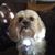 Charlie Jean York's profile image