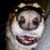 Mary Ann Alsobrook Wilkerson's profile image