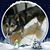 Pamla Bennett Mixter's profile image
