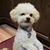 John Gilbert's profile image