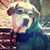 Samantha Lorey's profile image