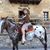Severiana Erleaga's profile image