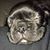 Don Carlo's profile image