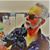 Mitchell Jureckson's profile image