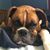 Jeff Miller's profile image