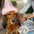 Laura Armijo-Soriano's profile image