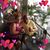 Emily Collins's profile image