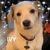 Kathy Volkening's profile image