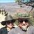 Rich Wilda Chamberlain's profile image