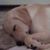 Colleen Scanlon Reinhart's profile image