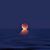 Sharyn Kilian's profile image