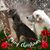 Lisa Helms's profile image