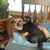 Terry Mullenax's profile image