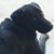 Russ Roundy's profile image