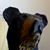 Baba Aleshire's profile image
