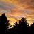 Beverly Grout's profile image