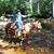 Sandee Loudermilk Pacheco's profile image