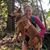 Lori Shelmerdine's profile image