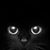 Cindy Wombough's profile image