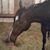 Becky Jenson's profile image